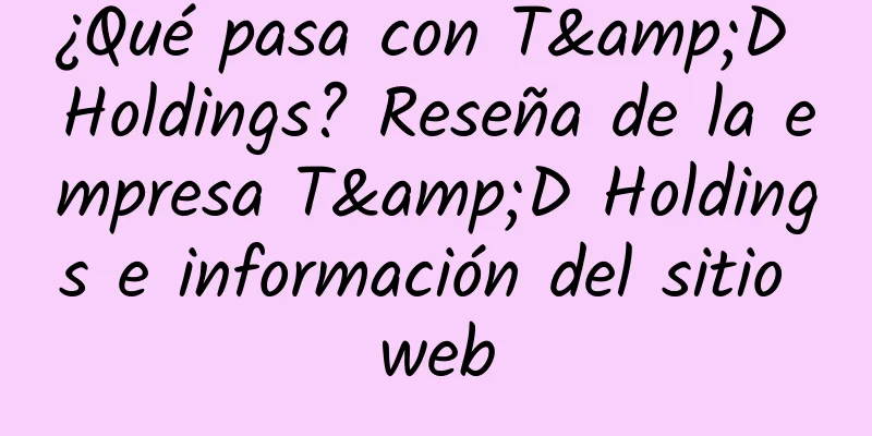 ¿Qué pasa con T&D Holdings? Reseña de la empresa T&D Holdings e información del sitio web