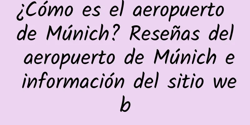 ¿Cómo es el aeropuerto de Múnich? Reseñas del aeropuerto de Múnich e información del sitio web