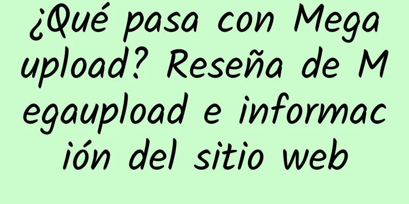 ¿Qué pasa con Megaupload? Reseña de Megaupload e información del sitio web