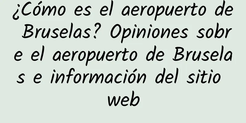 ¿Cómo es el aeropuerto de Bruselas? Opiniones sobre el aeropuerto de Bruselas e información del sitio web