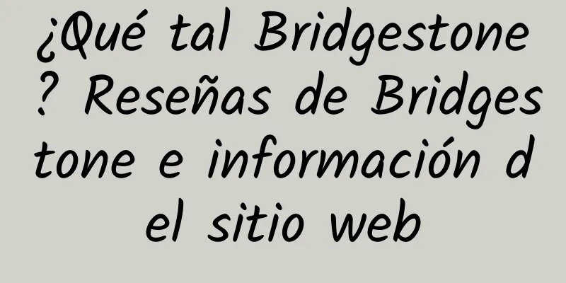 ¿Qué tal Bridgestone? Reseñas de Bridgestone e información del sitio web