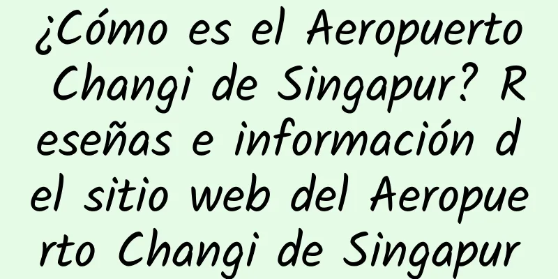 ¿Cómo es el Aeropuerto Changi de Singapur? Reseñas e información del sitio web del Aeropuerto Changi de Singapur