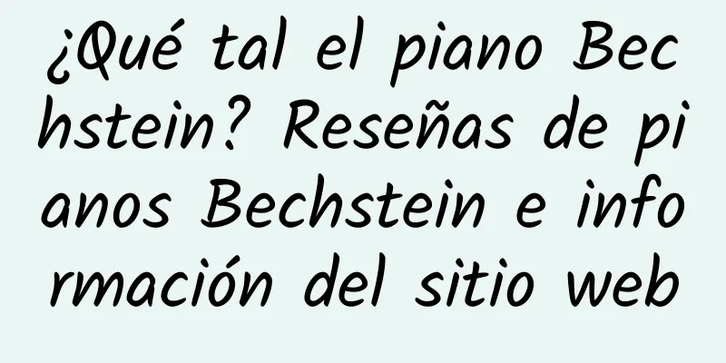 ¿Qué tal el piano Bechstein? Reseñas de pianos Bechstein e información del sitio web