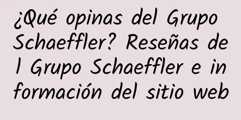 ¿Qué opinas del Grupo Schaeffler? Reseñas del Grupo Schaeffler e información del sitio web