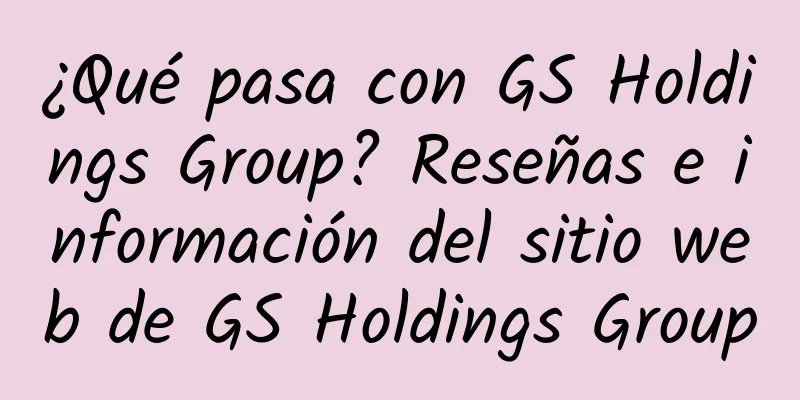 ¿Qué pasa con GS Holdings Group? Reseñas e información del sitio web de GS Holdings Group