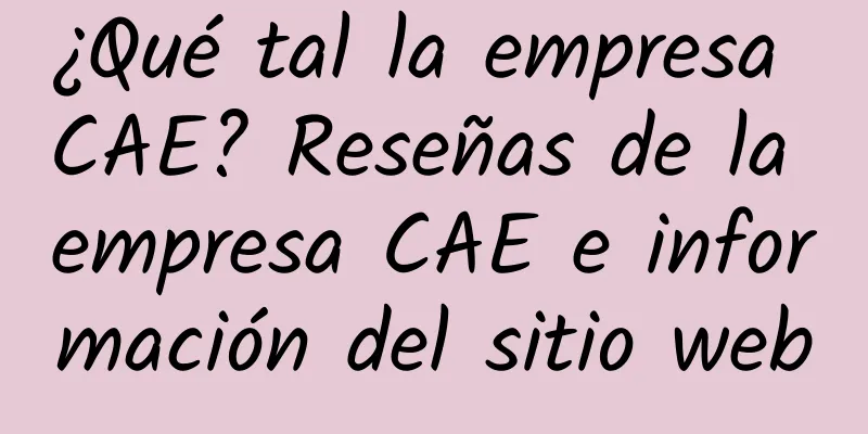 ¿Qué tal la empresa CAE? Reseñas de la empresa CAE e información del sitio web