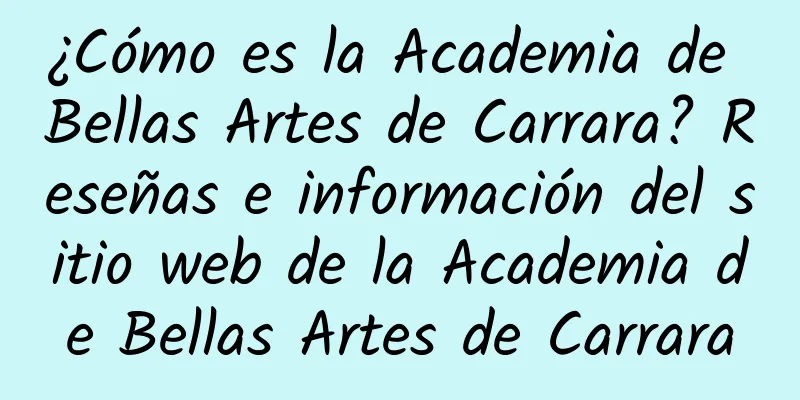 ¿Cómo es la Academia de Bellas Artes de Carrara? Reseñas e información del sitio web de la Academia de Bellas Artes de Carrara