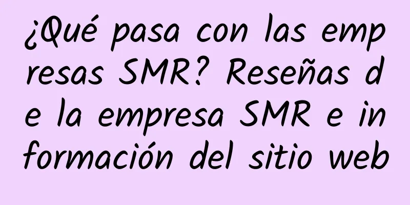 ¿Qué pasa con las empresas SMR? Reseñas de la empresa SMR e información del sitio web
