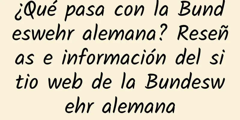 ¿Qué pasa con la Bundeswehr alemana? Reseñas e información del sitio web de la Bundeswehr alemana