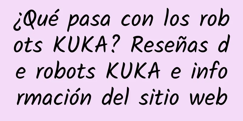 ¿Qué pasa con los robots KUKA? Reseñas de robots KUKA e información del sitio web