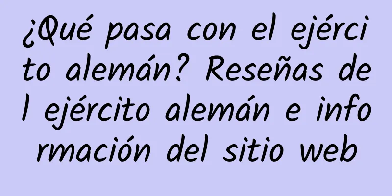 ¿Qué pasa con el ejército alemán? Reseñas del ejército alemán e información del sitio web