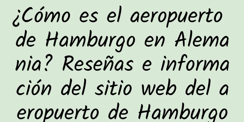 ¿Cómo es el aeropuerto de Hamburgo en Alemania? Reseñas e información del sitio web del aeropuerto de Hamburgo