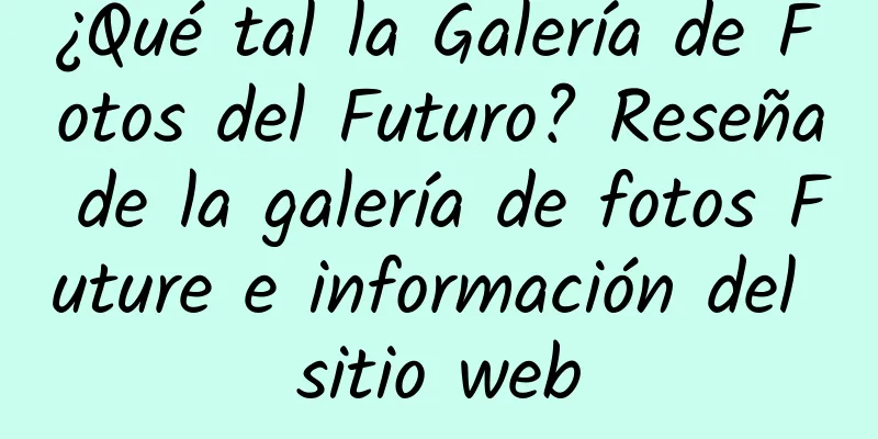 ¿Qué tal la Galería de Fotos del Futuro? Reseña de la galería de fotos Future e información del sitio web