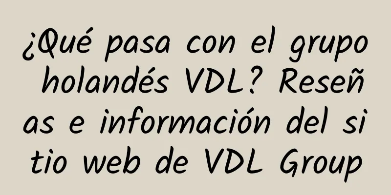 ¿Qué pasa con el grupo holandés VDL? Reseñas e información del sitio web de VDL Group