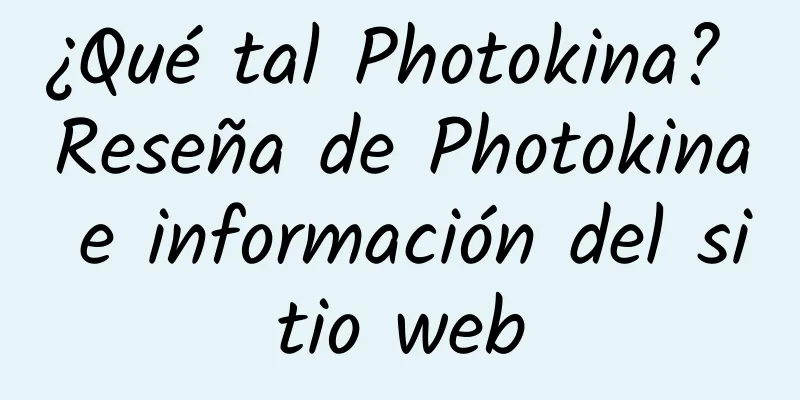 ¿Qué tal Photokina? Reseña de Photokina e información del sitio web