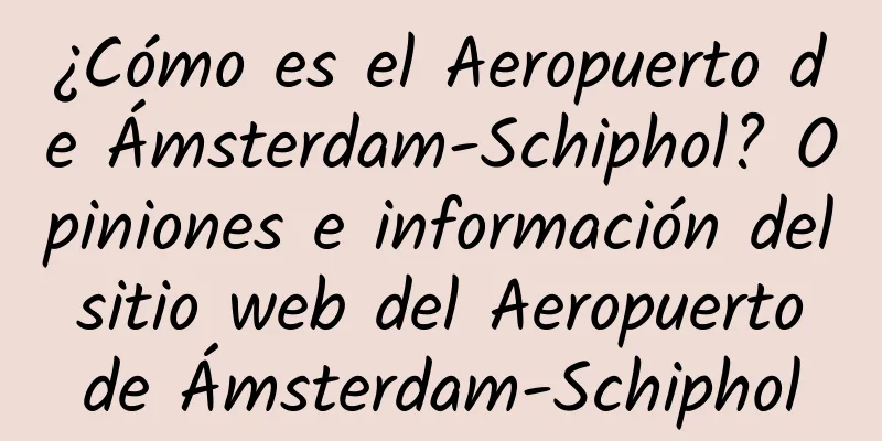 ¿Cómo es el Aeropuerto de Ámsterdam-Schiphol? Opiniones e información del sitio web del Aeropuerto de Ámsterdam-Schiphol