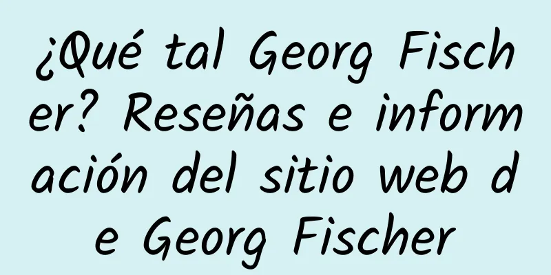 ¿Qué tal Georg Fischer? Reseñas e información del sitio web de Georg Fischer