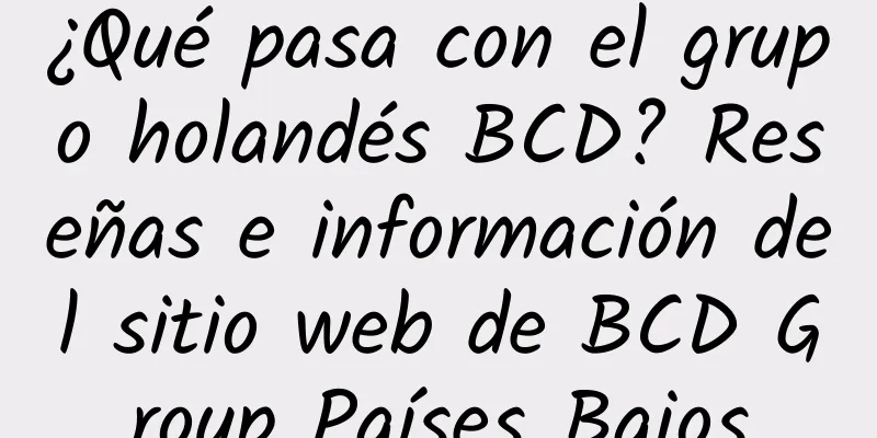 ¿Qué pasa con el grupo holandés BCD? Reseñas e información del sitio web de BCD Group Países Bajos