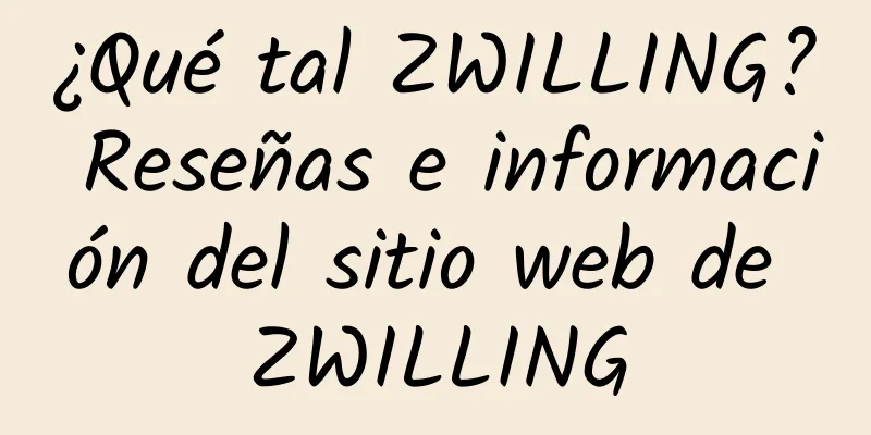¿Qué tal ZWILLING? Reseñas e información del sitio web de ZWILLING