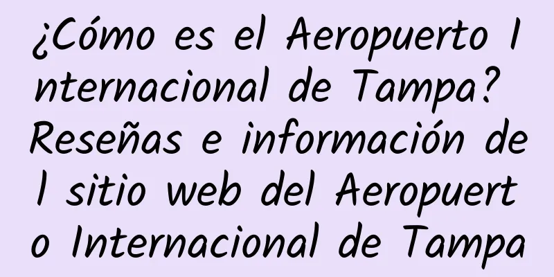 ¿Cómo es el Aeropuerto Internacional de Tampa? Reseñas e información del sitio web del Aeropuerto Internacional de Tampa