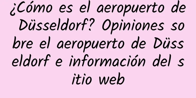 ¿Cómo es el aeropuerto de Düsseldorf? Opiniones sobre el aeropuerto de Düsseldorf e información del sitio web