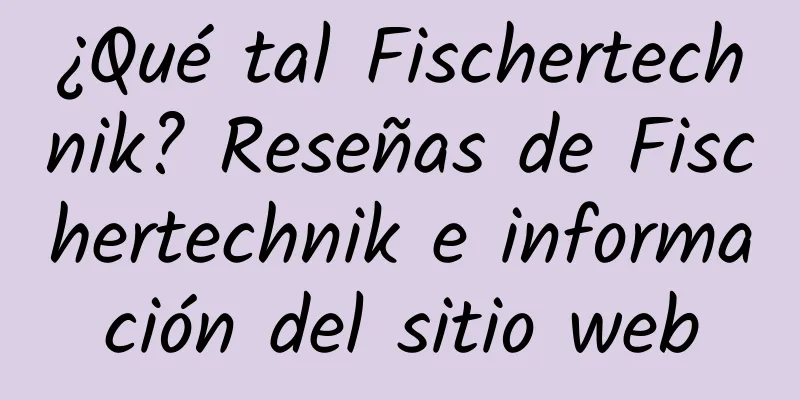 ¿Qué tal Fischertechnik? Reseñas de Fischertechnik e información del sitio web